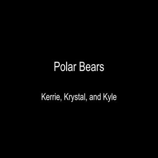 Polar Bears II