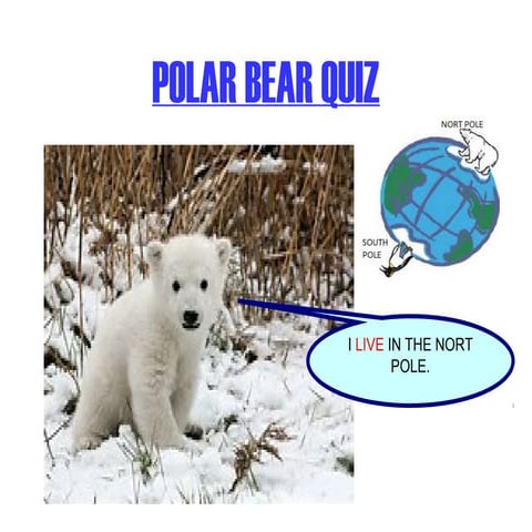 Polar bear quiz pablo suárez 4º a nov 2015 | PPT