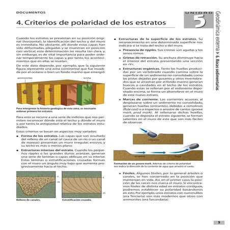 Criterios de polaridad de los estratos