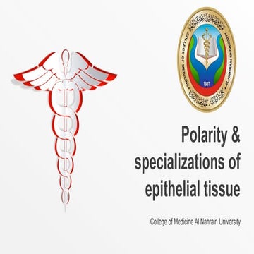 Polarity &amp; specializations of epithelia tissue