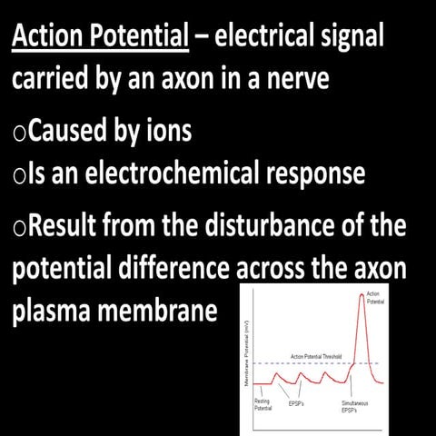 A and P Polarization