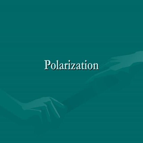 Polarization