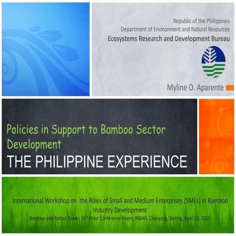 Policies in support to bamboo sector development the philippine experience