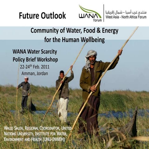 Policy framework and ways forward Walid Saleh