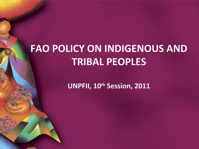 Policy presentation UNPFII 2011