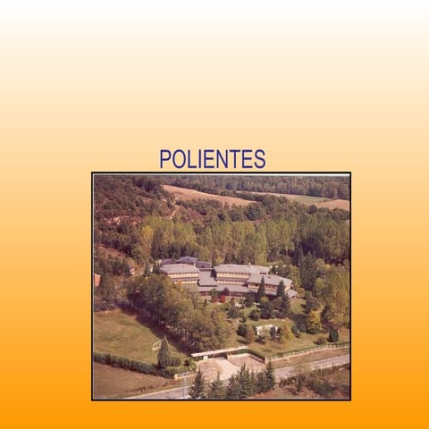 Polientes curso 2010 2011
