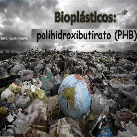Polihidroxibutirato (phb)1