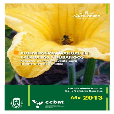 Polinización calabazas