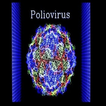 Polio pp