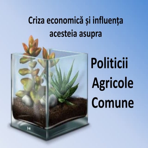 Politica agricola comuna in romania