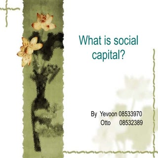 What is social capital