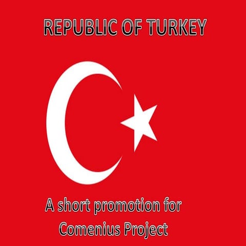 Political_system-Turkey