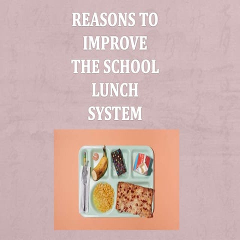 Reasons to Improve the School Lunch System 