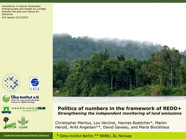 Politics of numbers in the framework of redd+