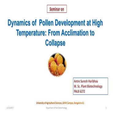 Pollen development at high temperature