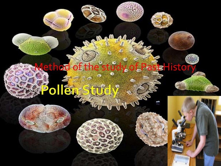 Pollen studyGeomorhology Chapter