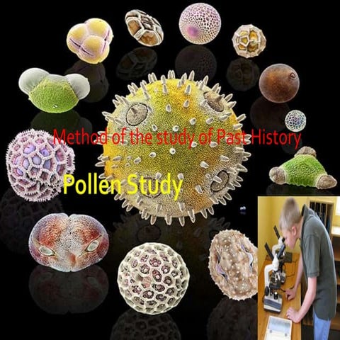 Pollen study-Geomorhology Chapter