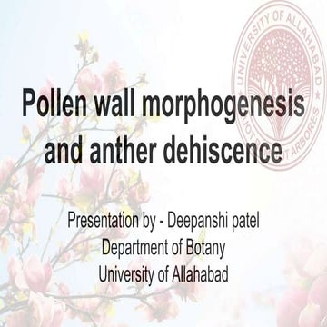Pollen wall morphogenesis and anther Dehiscence