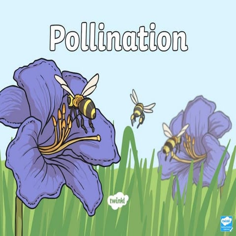 Pollination. | PPTX
