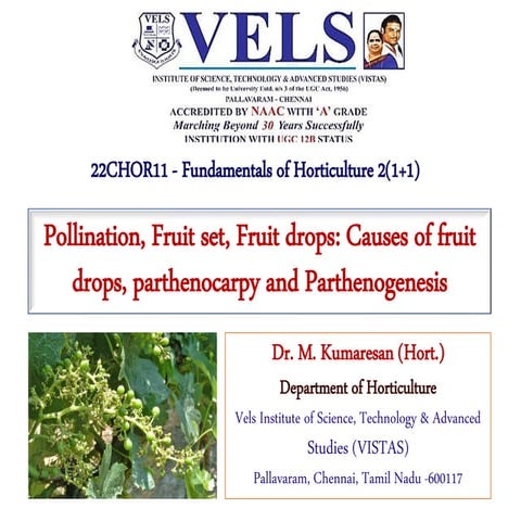 Pollination, Fruit set, Fruit drops, Causes of fruit drops, parthenocarpy and...