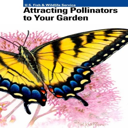 Pollinators and their types | PPTX