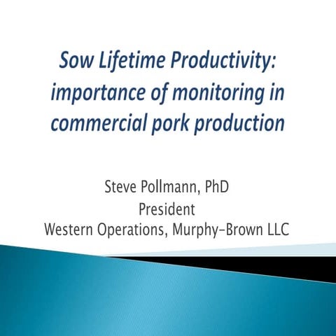 Dr. Steve Pollmann - Sow lifetime productivity: Importance of monitoring in c...