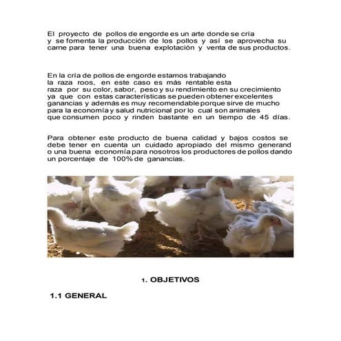 Proyecto avicola de pollos de engorde | DOCX