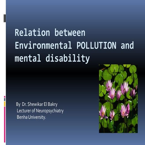 Pollution and the nervous system