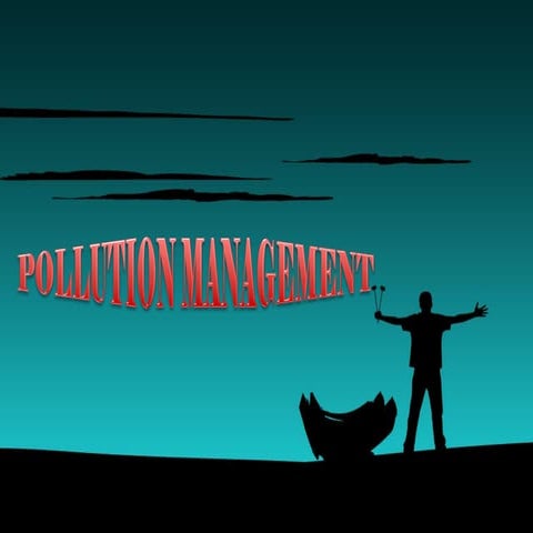 IB ESS Topic 5 Pollution Management