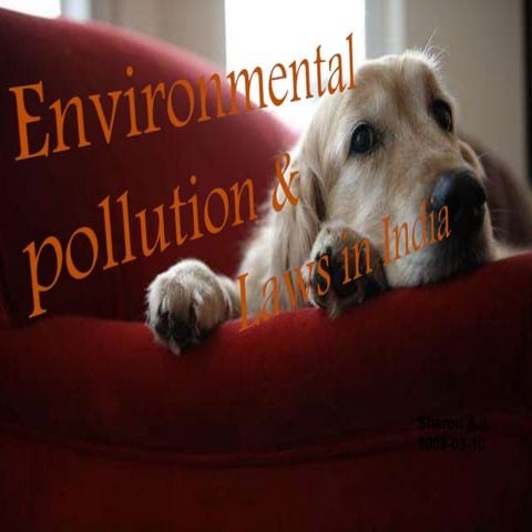 Differrnt types of pollution 