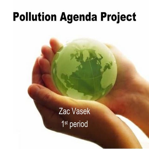 Pollution agenda project