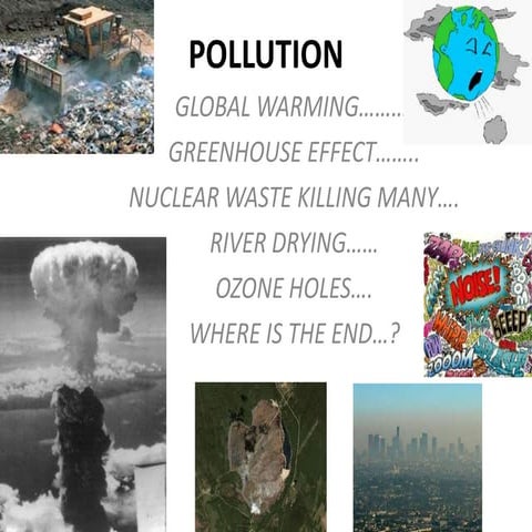 Pollution Presentation | PPTX