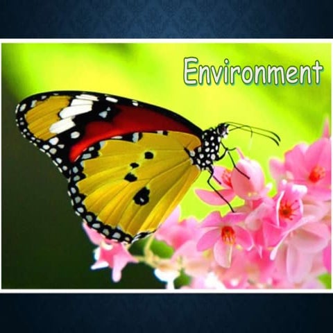 save environment | PPTX