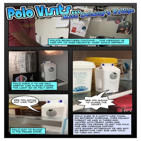 Polo the Fridgeezoo