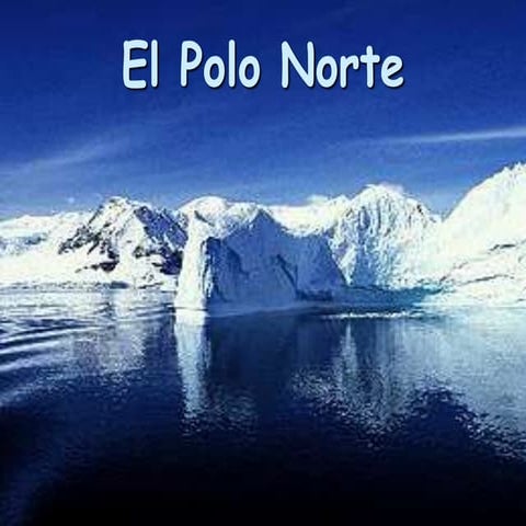 Polo norte