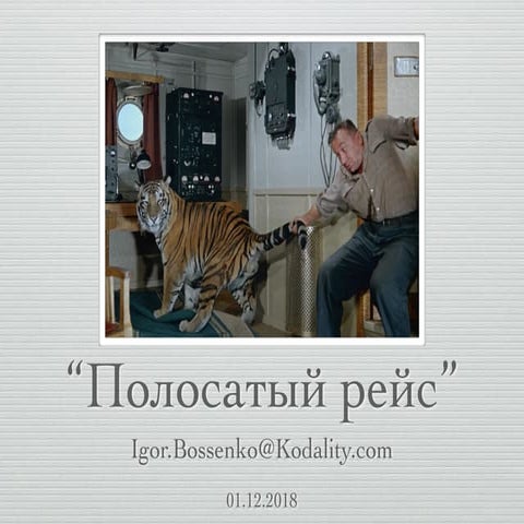 Полосатый рейс