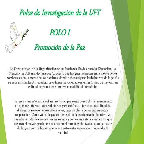 Polos de investigacion de la uft