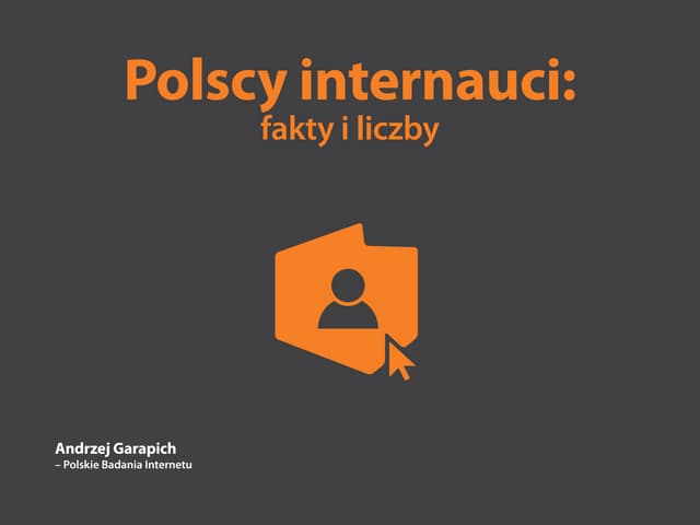 Polscy internauci 2013