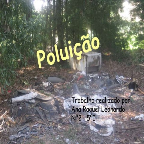 Poluição - Ana Raquel 5.º I