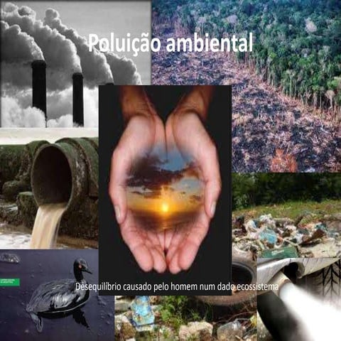 Poluição ambiental