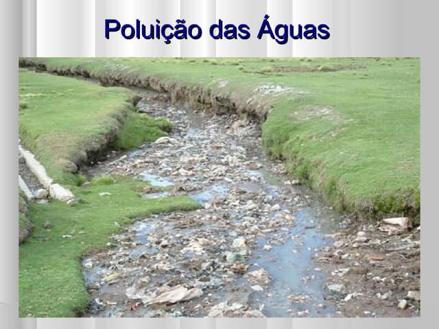Poluição das águas 