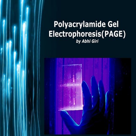 Polyacrylamide gel electrophoresis