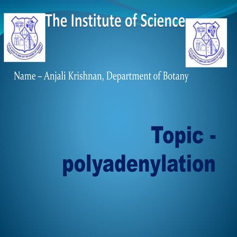 Polyadenylation