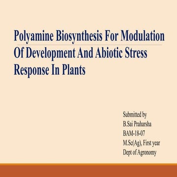 Polyamines in ameliorating stress