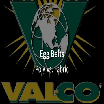 Poly Egg Belts