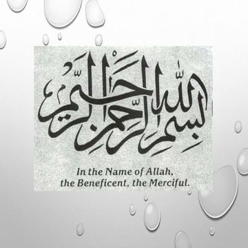 Polybutylene terephthalate