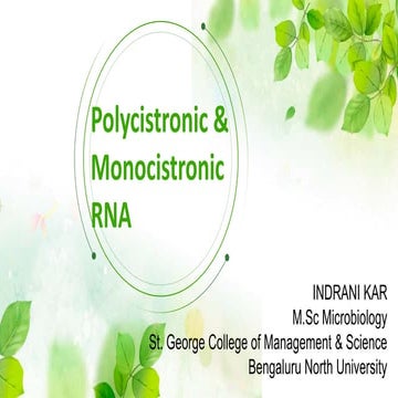 Polycistronic and monocistronic RNA