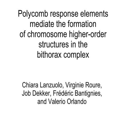 Polycomb Response Elements