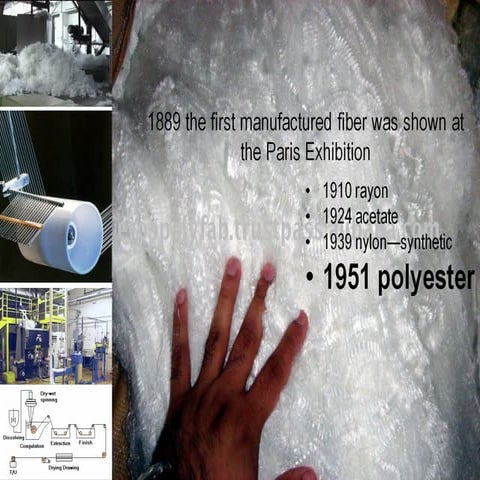 Polyester fibre