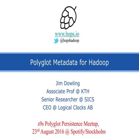 Polyglot metadata for Hadoop